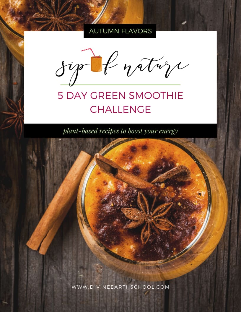 Sip Of Nature_ 5 Day Smoothie Challenge Guide